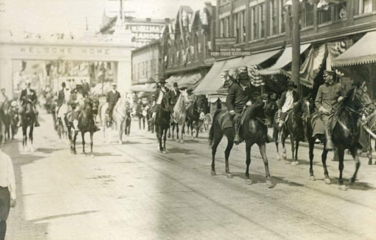 parade horses