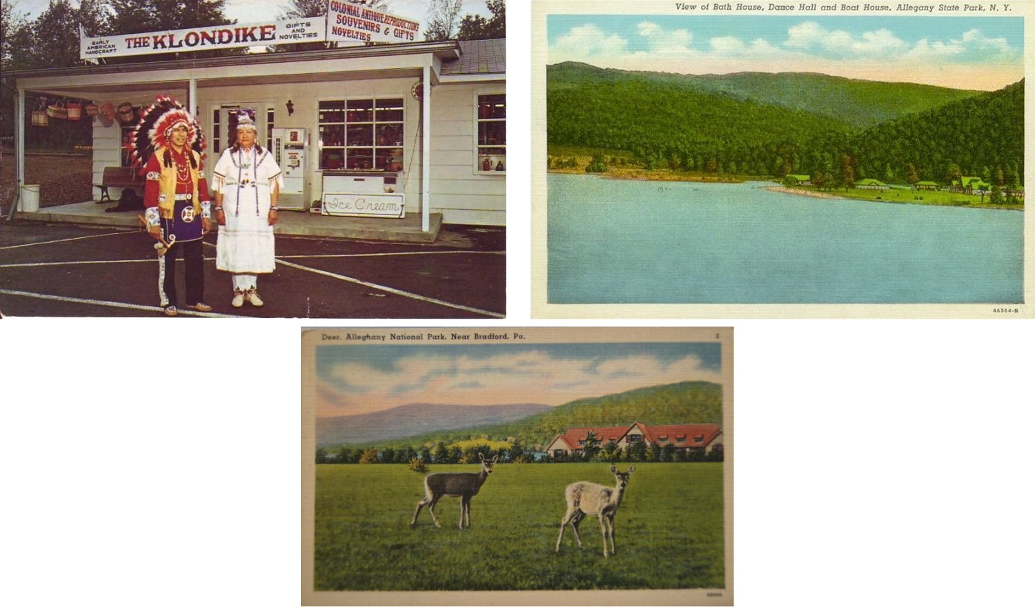 Klondike Gift Shop / Allegany State Park / Deer at State Park