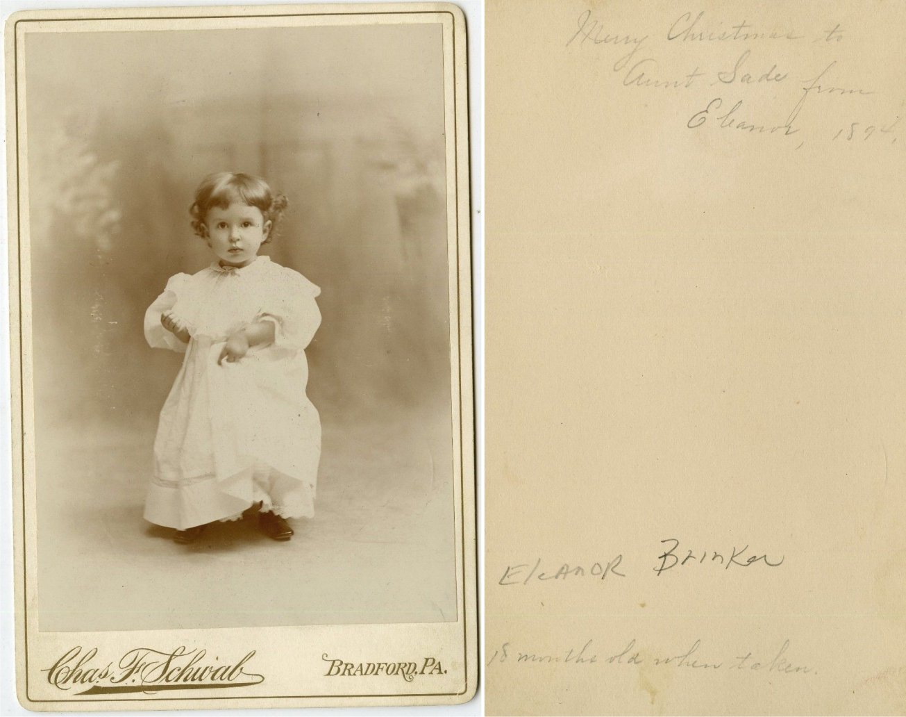 by Charles Schwab - 1894