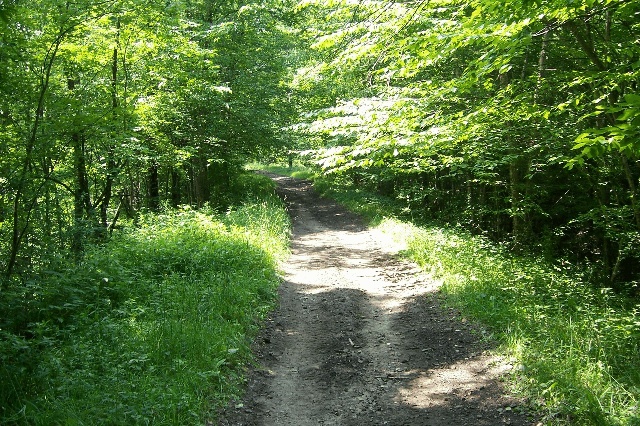 steep grade?